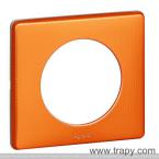  PLAQUE 1P ORANGE SNAKE 